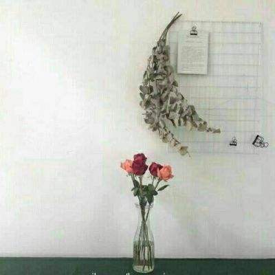 迷你我的公主探险手机版下载