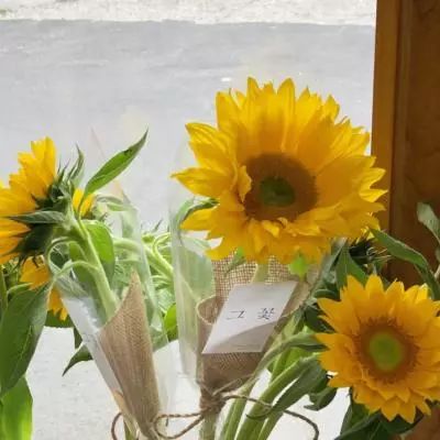 卧龙吟权倾天下手游下载