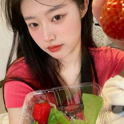 恐龙进化岛最新版下载